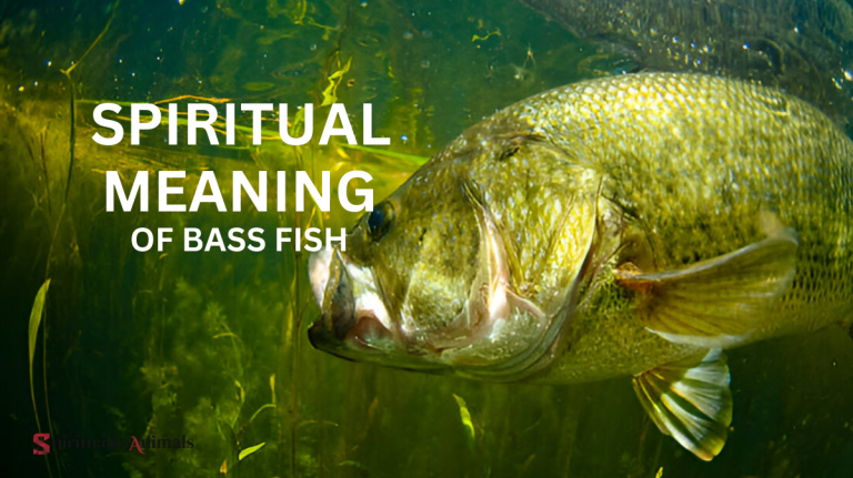 Spiritual Meaning of Bass Fish
