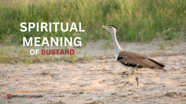 Spiritual Meaning of Bustard