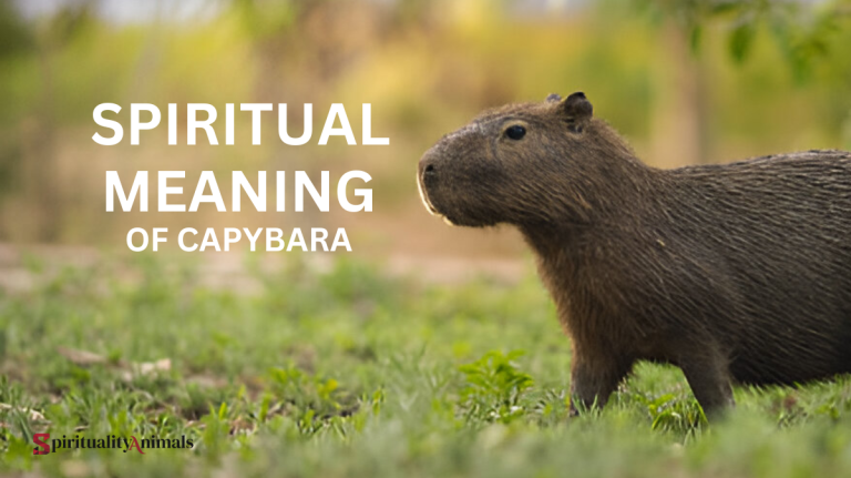 Spiritual Meaning of Capybara