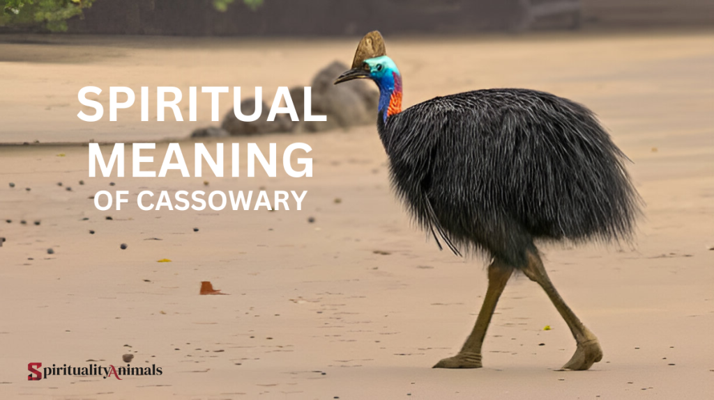 Spiritual Meaning of Cassowary