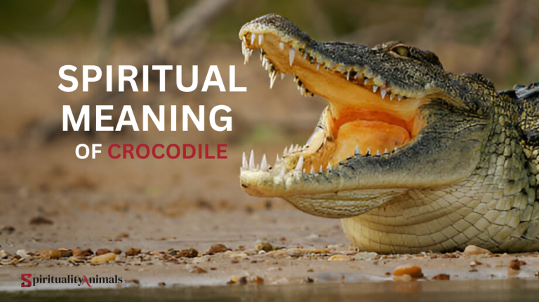 Spiritual Meaning of Crocodile