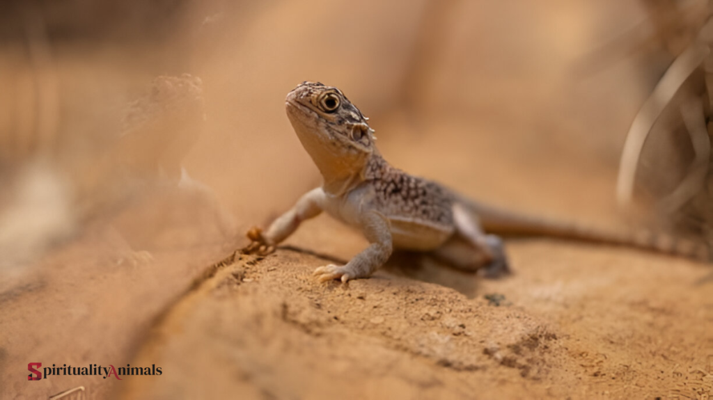 Spiritual Meaning of Draco