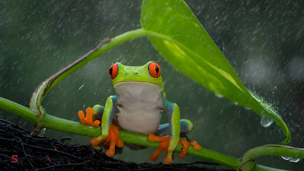 Spiritual Meaning of Frogs