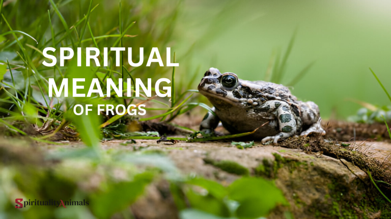 Spiritual Meaning of Frogs
