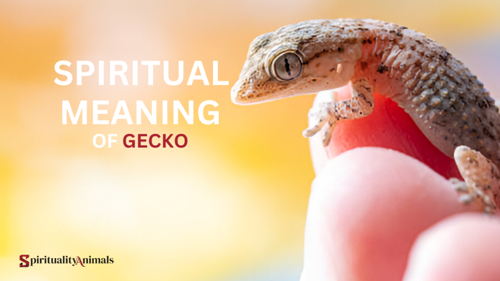 Spiritual Meaning of Gecko