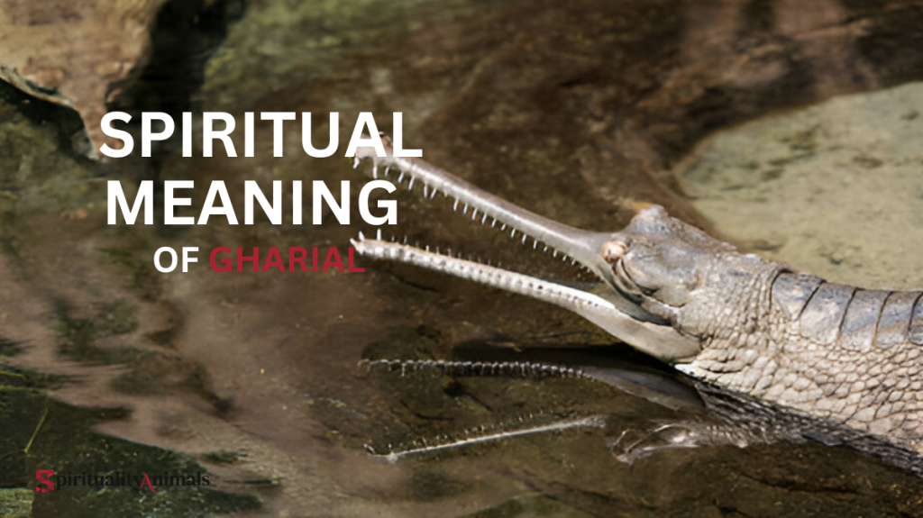 Spiritual Meaning of Gharial