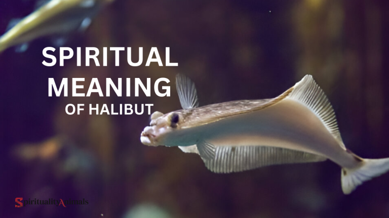 Spiritual Meaning of Halibut
