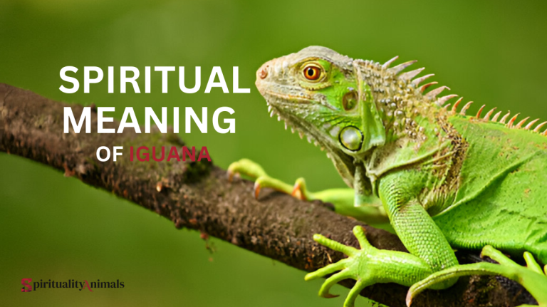 Spiritual Meaning of Iguana