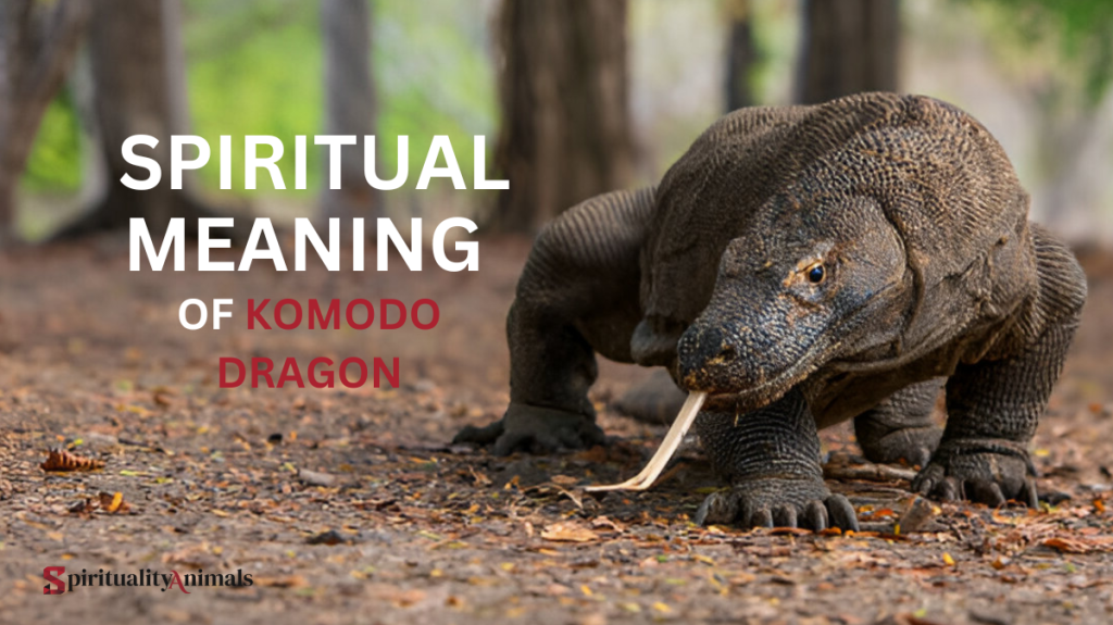 Spiritual Meaning of Komodo Dragon