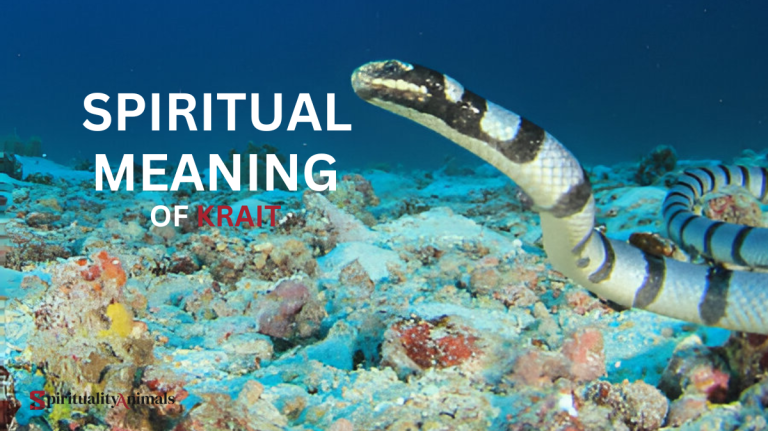 Spiritual Meaning of Krait