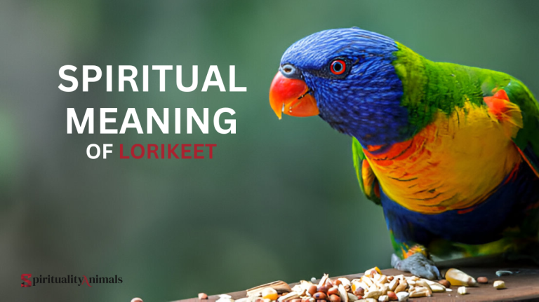 Spiritual Meaning of Lorikeet