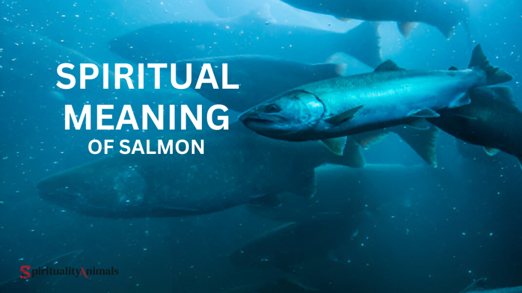 Spiritual Meaning of Salmon