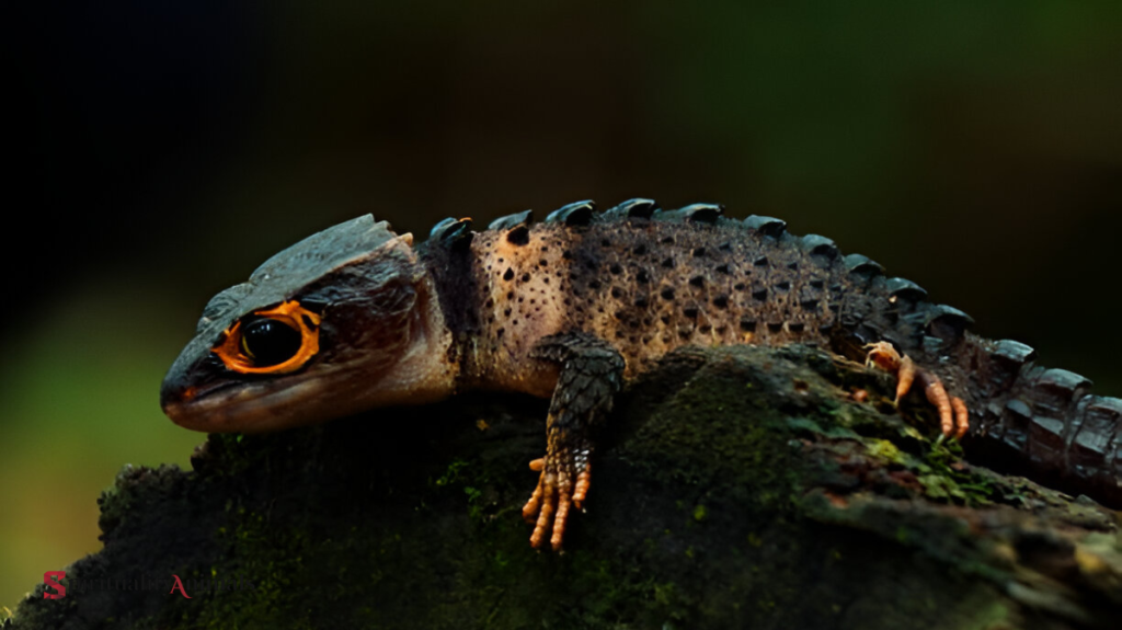 Spiritual Meaning of Skink