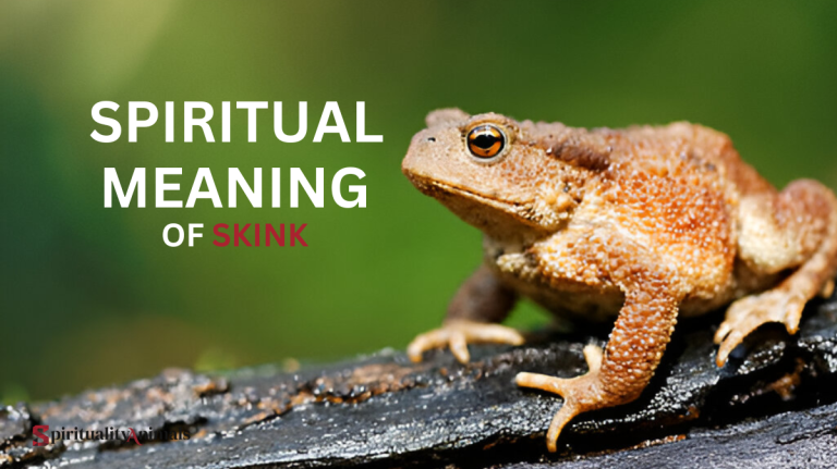 Spiritual Meaning of Skink