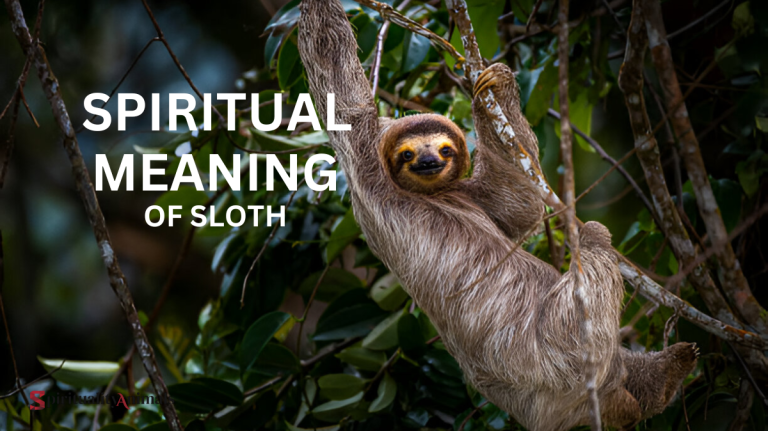 Spiritual Meaning of Sloth