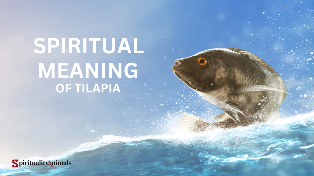 Spiritual Meaning of Tilapia
