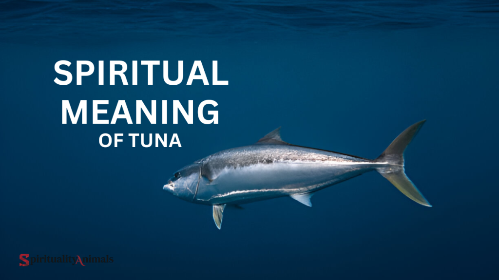 Spiritual Meaning of Tuna