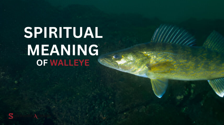 Spiritual Meaning of Walleye